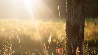 网络电话免费30分钟